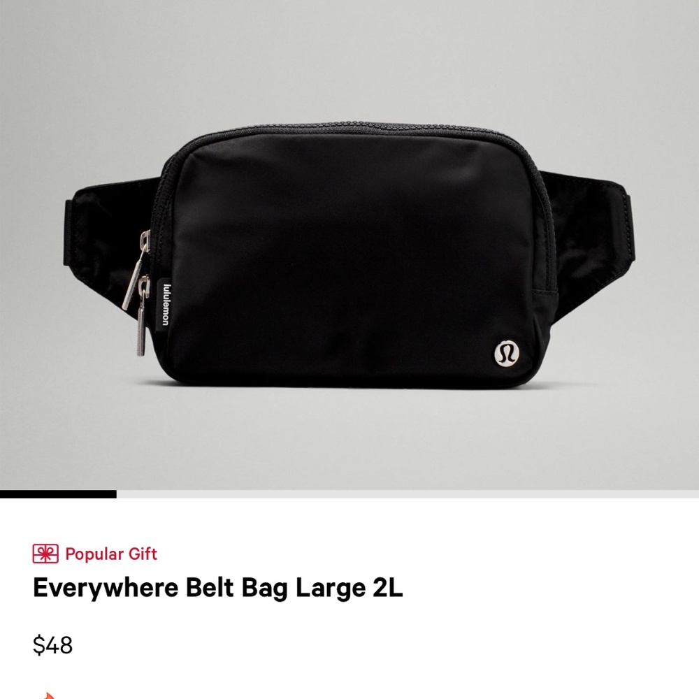 Everywhere Belt Bag 2L